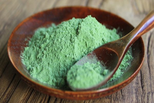 Alfalfa Extract Powder.jpg